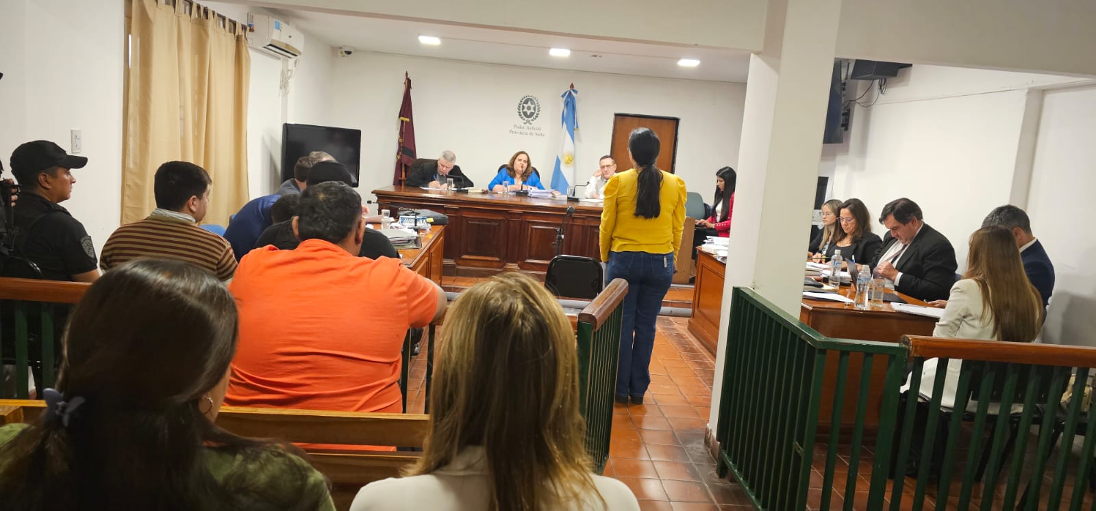 Femicidio en Orán: Declararon peritos